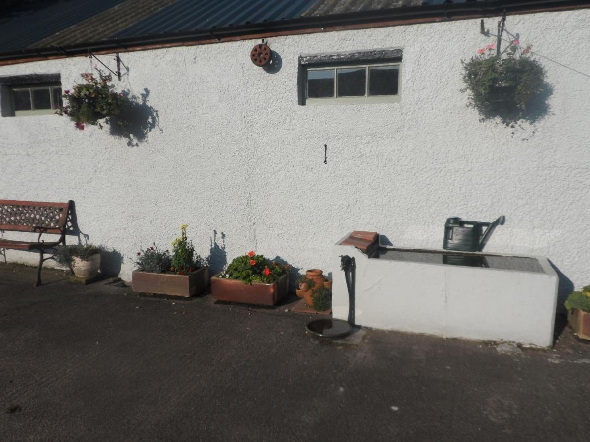 Midtown Farm Bed & Breakfast Easton (Cumbria)